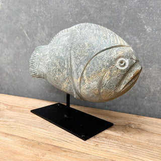 Stone Fish