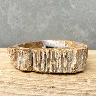 Petrified Wood Dish