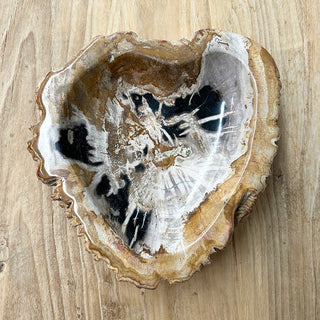 Petrified Wood Dish
