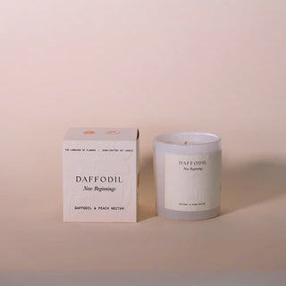 Daffodil Candle - Language Of Flowers Collection