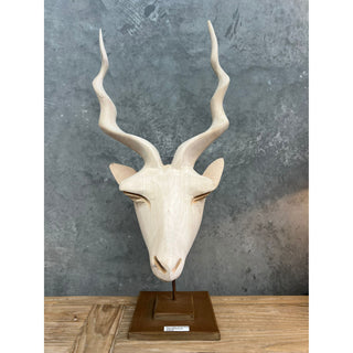 Africa Swazi Kuda Head