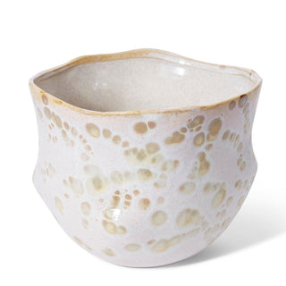 Alfonso Pot