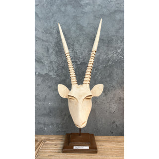 Africa Swazi Springbook Head