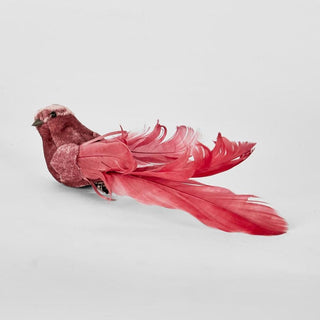 Delicia Clip on Bird Fuchsia